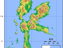 Pertanian di Malut tak Menjanjikan, Kalangan Milenial ‘serbu’ Tambang