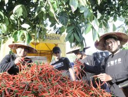 KNPI: Kami Selalu Bersama Petani