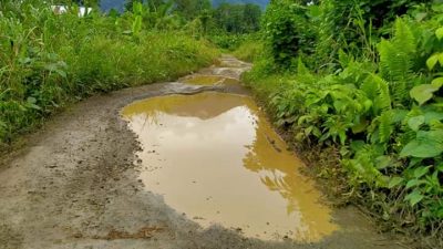 Dibangun Pakai Uang Rp 49,5 Miliar, Begini Kondisi Jalan Sayoang-Yaba