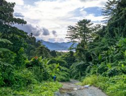 Publik Desak Proyek Sayoang-Yaba Diusut Kembali