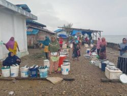 Cerita Pedagang Ikan Waiboga, Mengais Rezeki di Bawah Terik Matahari dan Hujan