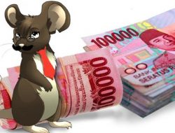 Uang Makan Minum di Pemprov Diusut, di Taliabu Diduga Ada Pungutan Liar