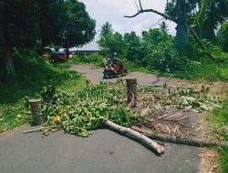 Kecewa, Pemuda di Halmahera Barat Palang Jalan