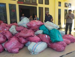 Jelang Idulfitri, Polres Sula Sita 4.032 Botol Captikus di KM Aksar Saputra