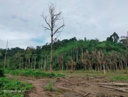 PT. Tri Usaha Baru Mencemari Lingkungan dan Enggan Ganti Rugi Lahan