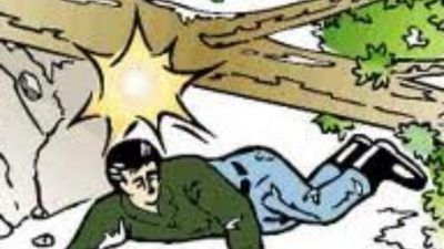 Batang Pohon Kering di Tepi Jalan Renggut Nyawa Seorang Pria