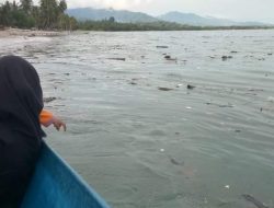 Perairan Mangoli Tengah dan Timur Dipenuhi Sampah