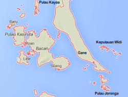 Perusahaan Milik Seorang Pejabat Diduga Ambil Kayu Secara Ilegal di Halsel