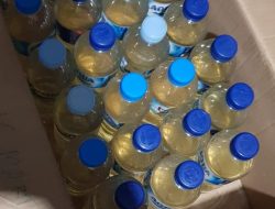 Captikus dari Manado Dipasok Terus ke Ternate