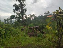 Lembah Kowehino di Halmahera Timur, Kampung Suku Tobelo Dalam yang Hilang