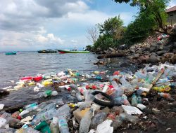Karena Sampah, Perairan Ternate Tercemar Unsur Berbahaya