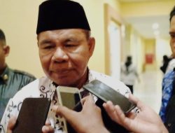 Wagub Malut Irit Bicara soal TPP Nakes RS Chasan Boesoirie