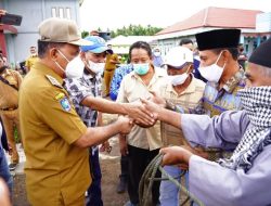 Hari Raya Iduladha, Pemkab Halbar Berbagi Hewan Kurban