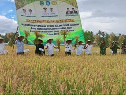 Dinas Pertanian Maluku Utara Panen Raya di Halut