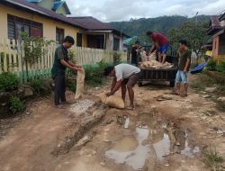 Elit 16 Patungan Perbaiki Jalan Berlubang di Desa Onemay-Nggele, Taliabu