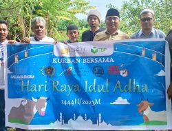 Harita Nickel Salurkan Hewan Kurban 31 Ekor Sapi dan 3 Ekor Kambing