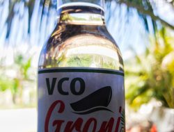 VCO Groni dari Moti Siap Dipasarkan