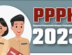 Tahun Ini Halmahera Barat Dapat Kuota 999 Formasi PPPK