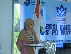 Korps PII Wati Maluku Utara Soroti Kasus Kekerasan terhadap Perempuan