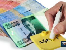 Tenaga Honorer DPMPTSP Halbar Keluhkan tak Terima Insentif 7 Bulan  