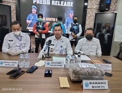 Edarkan Ganja 1,9 Kg, Pria Ini Ditangkap BNNP Maluku Utara