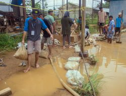 Fatek Unkhair Manfaatkan Limbah Tailing untuk Bahan Bangunan