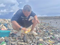 Ribuan Ikan Mati Terdampar di Pantai Ternate, DLH Uji Sampel