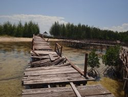 Jembatan Wisata Mangrove di Pulau Dodola Butuh Perhatian Pemkab Morotai 