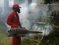 Kasus DBD di Morotai Timur Alami Penurunan