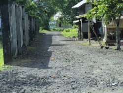 Terkendala Pembebasan Lahan, Ruas Jalan di Halmahera Barat Ini Gagal Diaspal