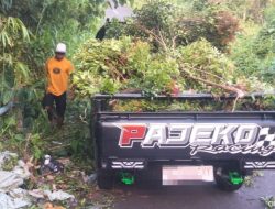 Tiga Pria di Ternate Diperintahkan Angkat Kembali Sampah yang Dibuang di Barangka