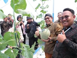 Puluhan Manajer BUMDesa Sulbar Timba Ilmu di Kalasan Valley