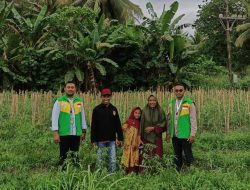 Yakesma Maluku Utara Bakal Fokus Pemberdayaan Petani Hortikultura di Halut