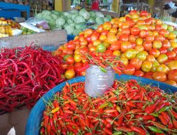 Setelah Beras, Harga Cabai di Morotai Juga Ikut Naik