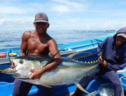 PT Harta Samudera Dianggap Bikin Rugi Nelayan di Morotai