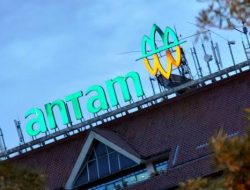 PT Antam Tunggak Pajak Ratusan Juta ke Pemkab Halmahera Timur