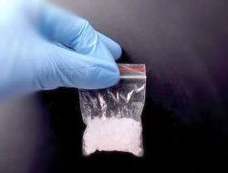 Polda Metro Jaya Sita 1 Klip Sabu dari Tiga ASN Maluku Utara