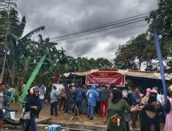 Nasdem Amankan Dua Kursi di Dapil Ternate Selatan-Moti, PDIP Tersingkir