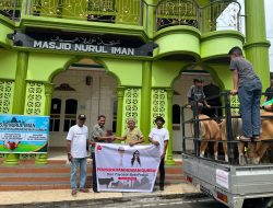 Jelang Iduladha, Yayasan Bela Peduli Salurkan Hewan Kurban