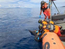 Terseret Arus, Jasad Perempuan Paruh Baya Ditemukan di Perairan Makian