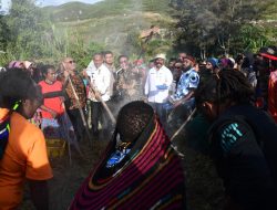 Ikut Ritual Bakar Batu, Gus Halim: Warisan Nenek Moyang untuk Simbol Perdamaian