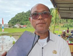 Ribuan Petani di Morotai Masih Sulit Dapat Pupuk Subsidi