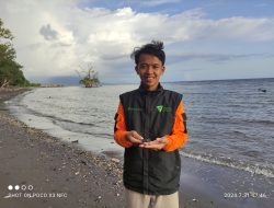 Gandeng Komunitas Lokal, DDV Sultra Lepas Tukik di Pantai Kastela