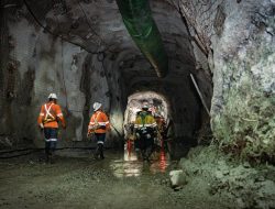 Kolaborasi NHM dan Peneliti UPN Veteran Yogyakarta, Siap Tembus Publikasi Ilmiah Skala Internasional