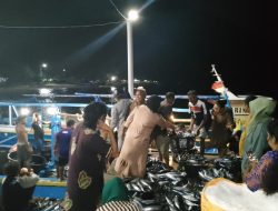 Tangkapan Melimpah, Nelayan Saria di Halmahera Barat Bagi-bagi Ikan Gratis