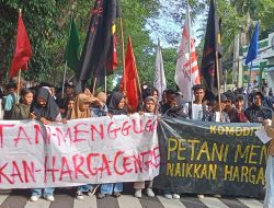 Gelar Aksi, Mahasiswa Tuntut Kenaikan Harga Cengkih di Maluku Utara