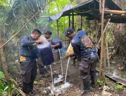 Polisi Kembali Gerebek Tempat Pembuatan Captikus di Halmahera Selatan