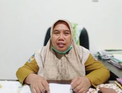 Pemkab Morotai Buka Seleksi PPPK, Cek Kuota dan Formasinya di Sini