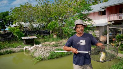 Cerita Nia dan Bambang, Petani Binaan Harita Nickel yang Sukses Jadi Pemasok Bahan Pangan