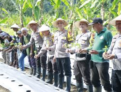Dukung Ketahanan Pangan, Polres Halmahera Selatan Tanam Bibit Cabai dan Tomat